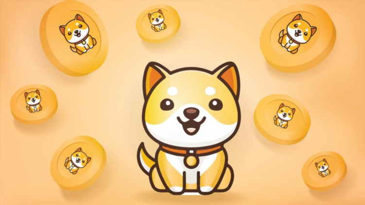 Cách hoạt động của Baby Doge Coin là gì?