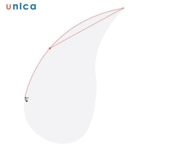 Cách dùng công cụ Curve trong trí tuệ nhân tạo để vẽ đường cong.